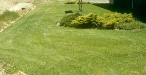 After revive organic soil treatment