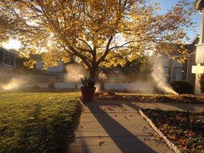 Highlands Ranch sprinkler blow out