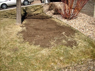 Lawn Maintenance and Repair